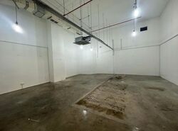 Oxley Bizhub (D14), Factory #553319141